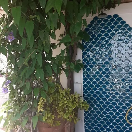 公寓 Casa Pimpinella Mediterranean 波西塔諾