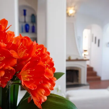 Casa Pimpinella Mediterranean Positano