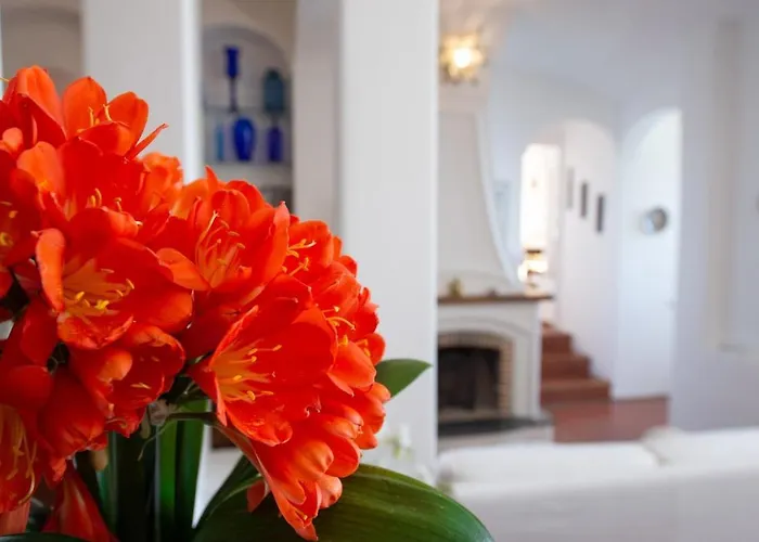 Casa Pimpinella Mediterranean Positano